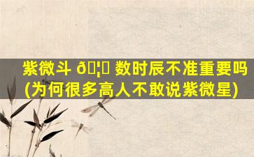 紫微斗 🦅 数时辰不准重要吗(为何很多高人不敢说紫微星)